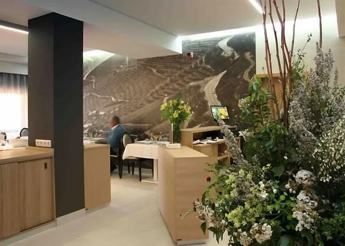 Hotel Douro